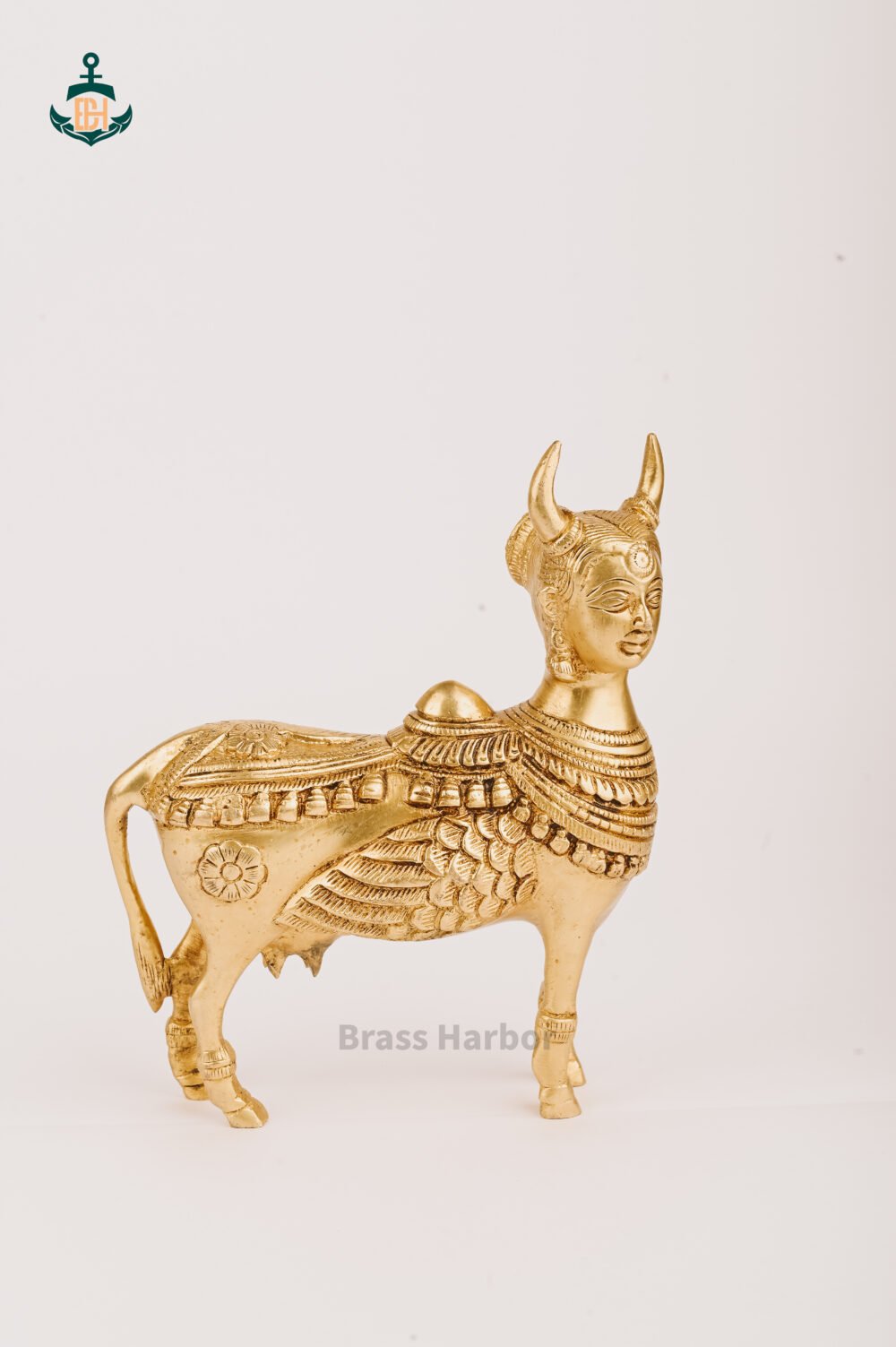 Shop Primary Image