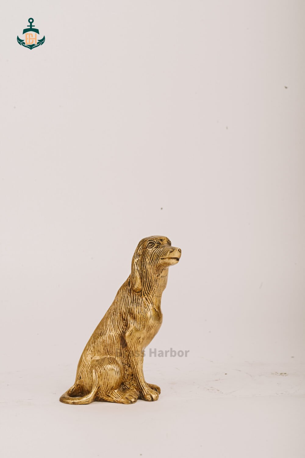 Shop Primary Image